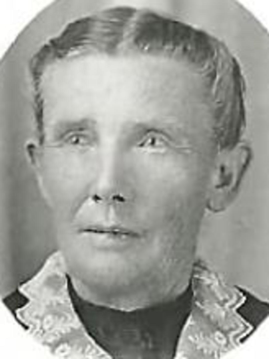 Amanda Melissa Norton (1847 - 1920) Profile